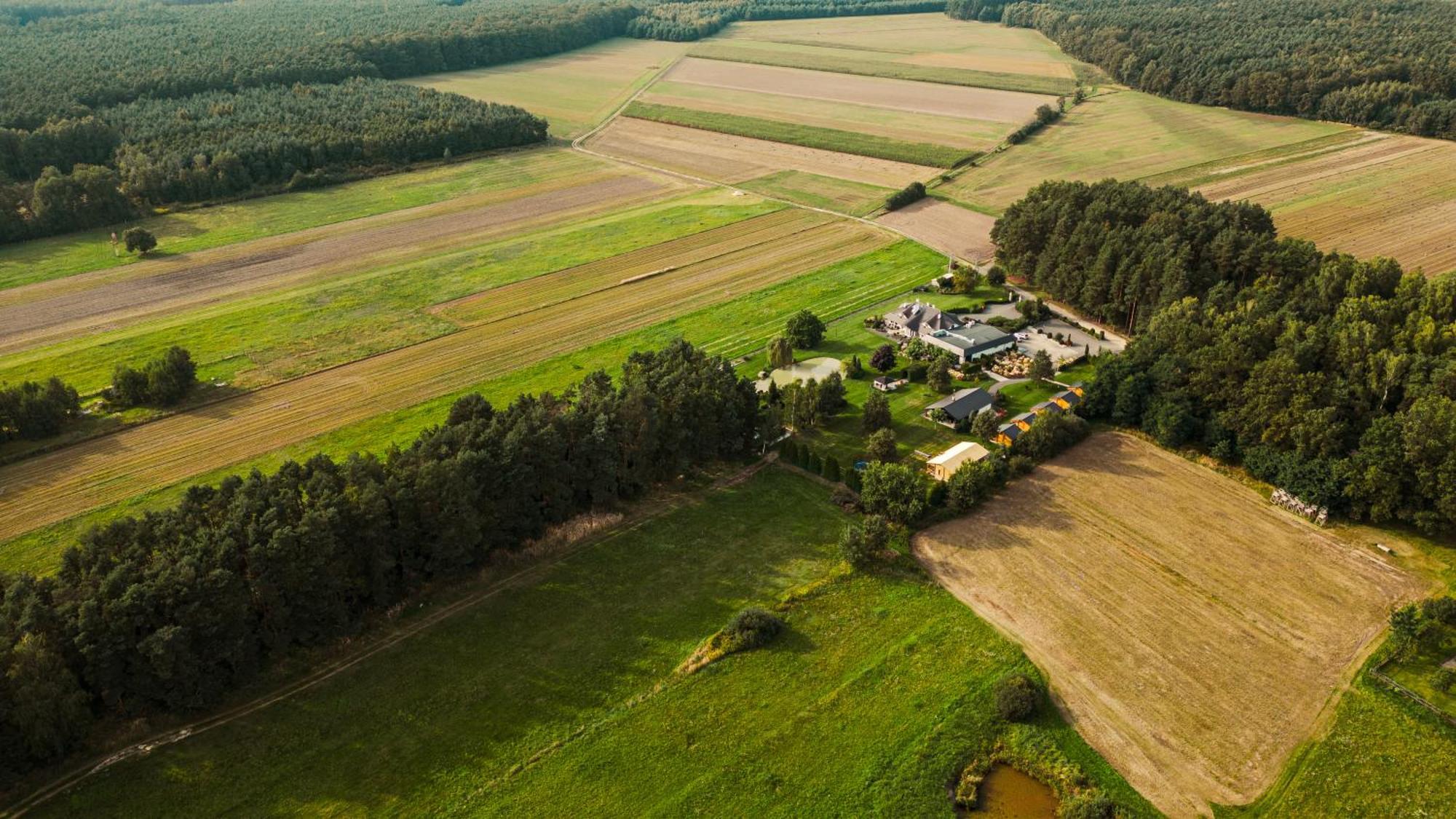 Hubertus Dwor Mysliwski Opolí Exteriér fotografie